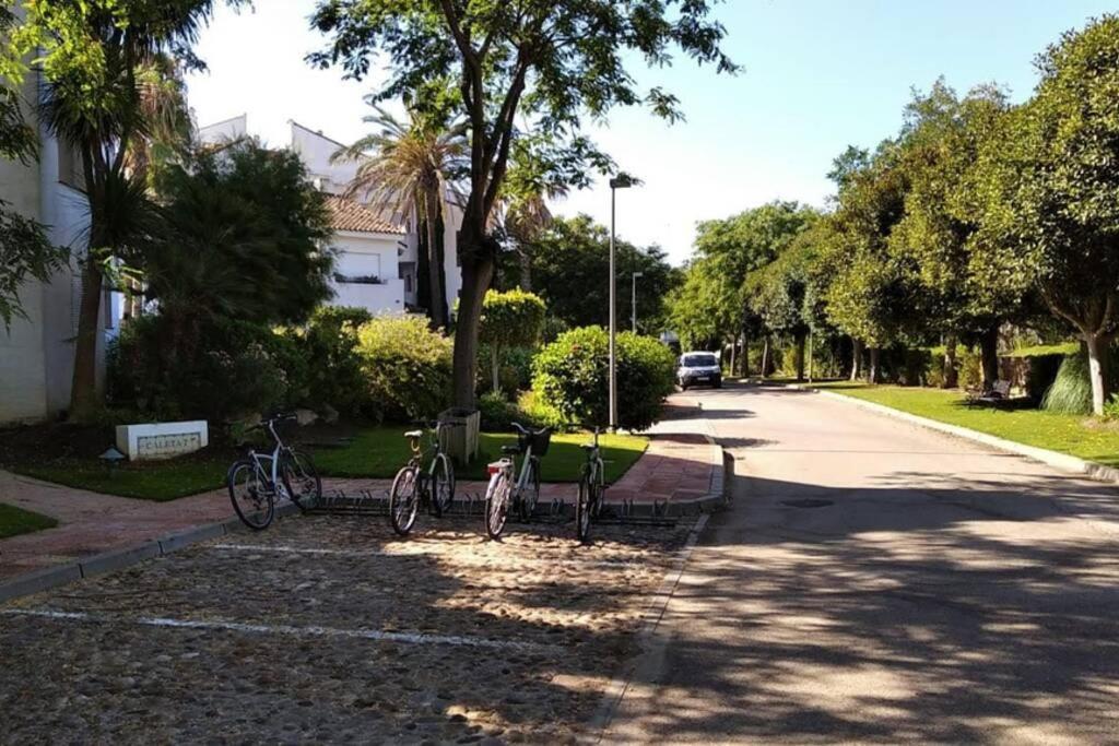 Apartamento En Playa Del Infante ロタ エクステリア 写真